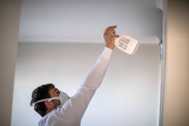 Best Professional Mold Removal  in Bulverde, TX